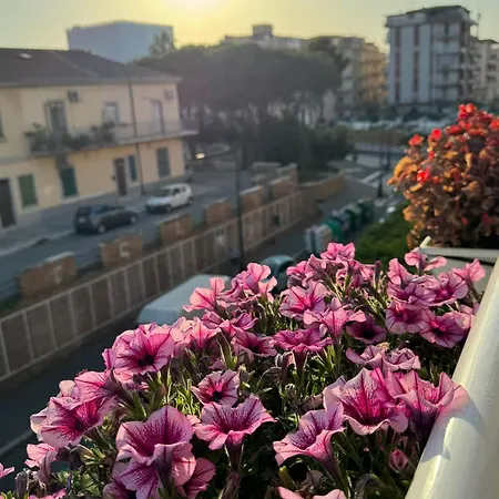 House On Sunday Luna