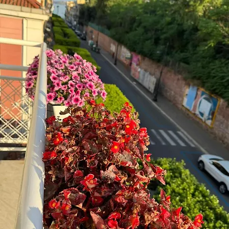 House On Sunday Luna