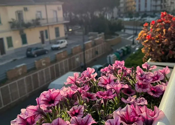 House On Sunday Luna