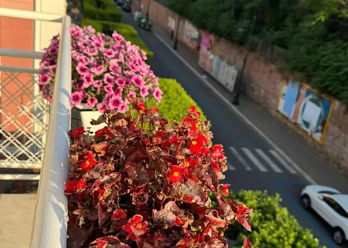 House On Sunday Luna